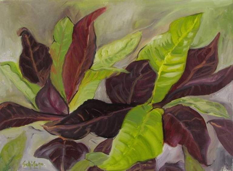 Crotons 9 x 12 oil