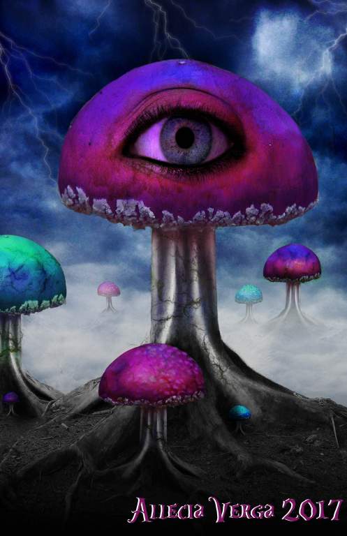 Shroom Kingdom