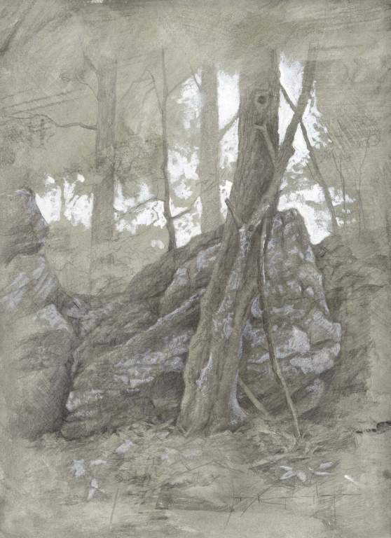 Maple Grove & Rocks 12x9, Silver Point & Gouache Heightening